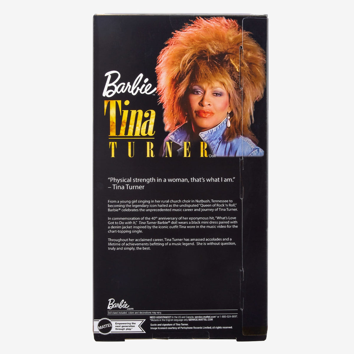 Barbie Signature Music Series Tina Turner Doll